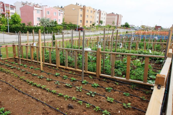 Belediyeden kiralık bahçe