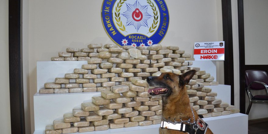 12 zehir taciri tutuklandı