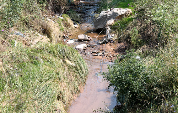 Kötü koku ve tehlike saçıyor