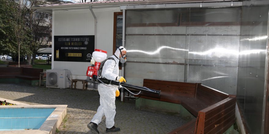 2020’de hem vektör  hem  salgınla mücadele