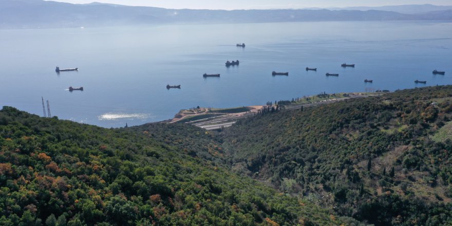 Dolgu alanı yeşillendiriliyor