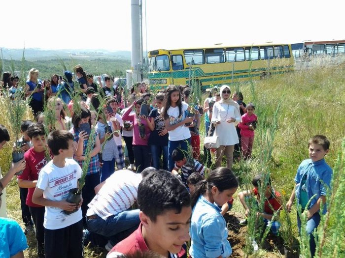 Gebze'de Canlar Adına Dikildi 301 fidan