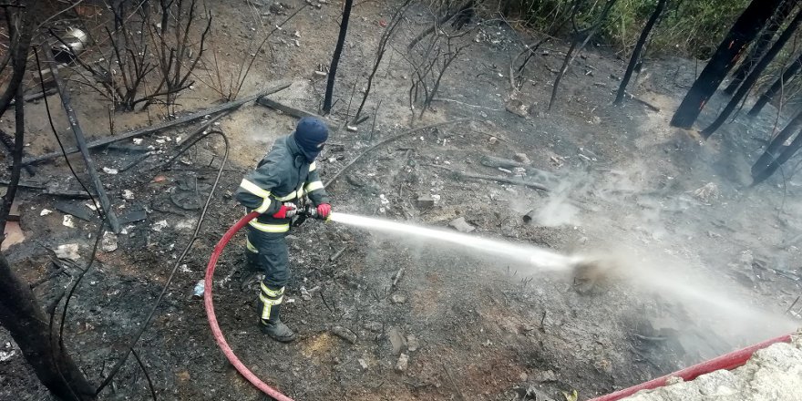 Ormanlık alanda yangın çıktı