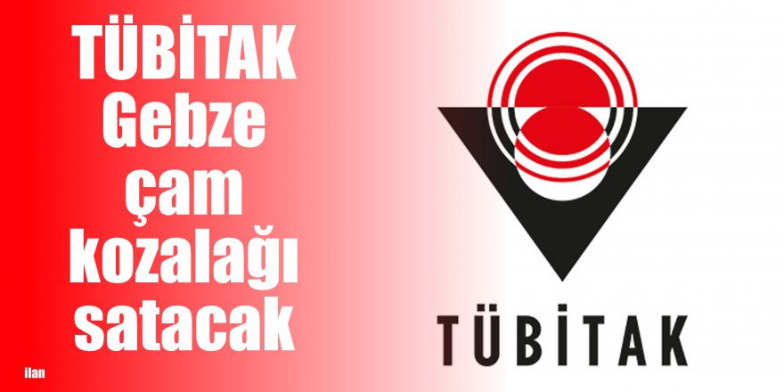 TÜBİTAK Gebze çam kozalağı satacak