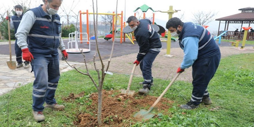 İzmit’te çocuklar meyveyi dalından yiyecek