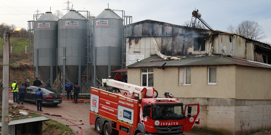 Tavuk çiftliğinde yangın çıktı