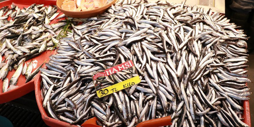 Marmara hamsisi tezgahlarda