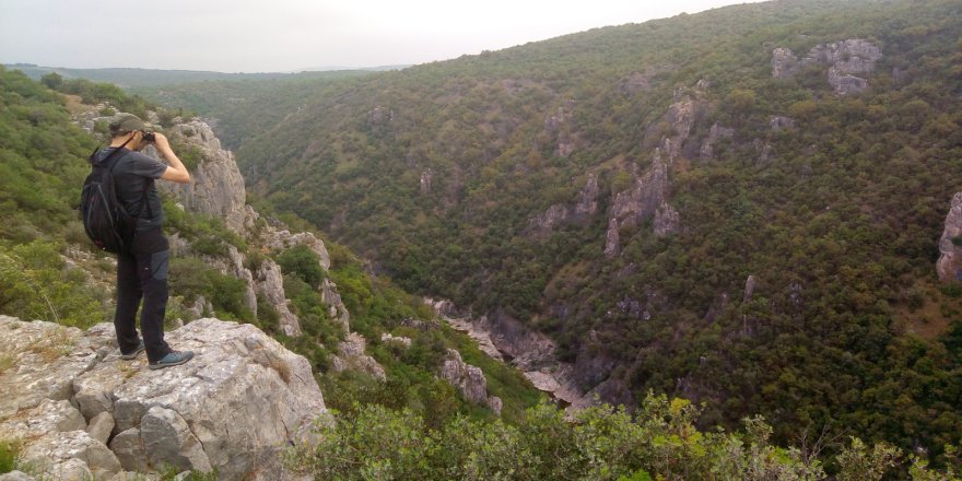 BALLIKAYALAR’DA YENİ KUŞ TÜRÜ