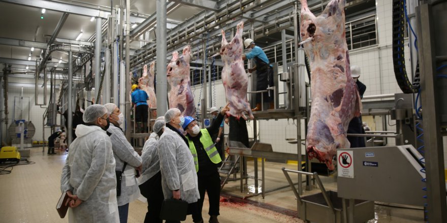 Mezbaha örnek oluyor