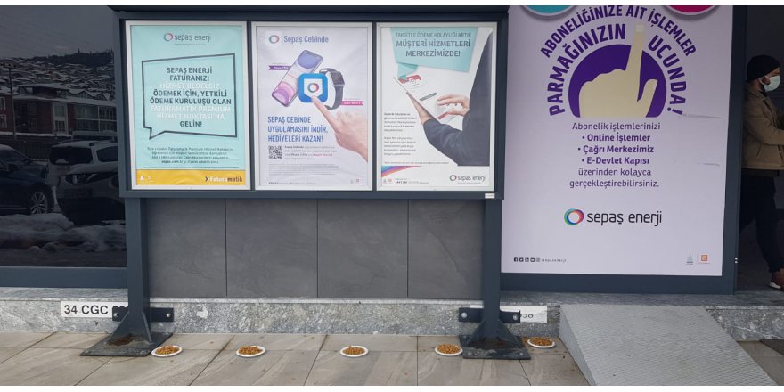 Sepaş sokak hayvanlarını unutmadı