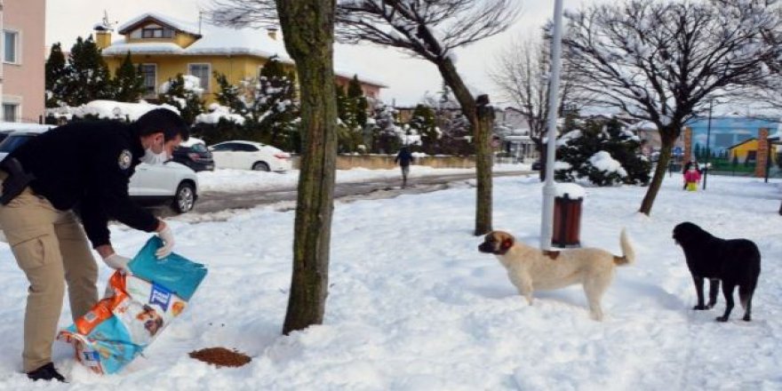 Polisler elleriyle besledi