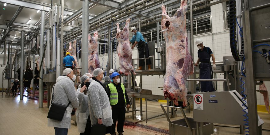 Ukraynalı eski Sağlık  Bakanı Mezbahayı beğendi