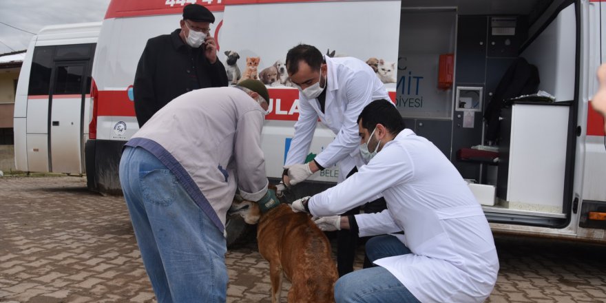 Köylerde sokak hayvanları aşılanıyor