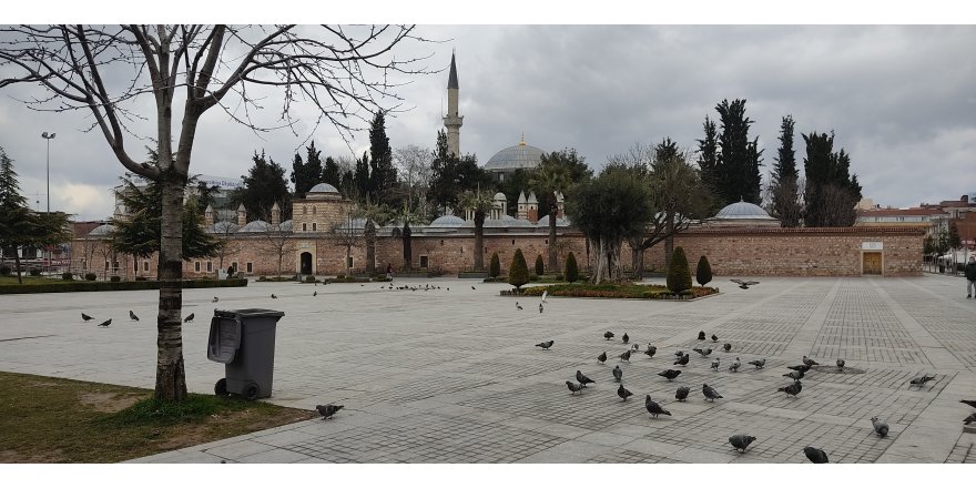 Meydan kedi ve kuşlara kaldı