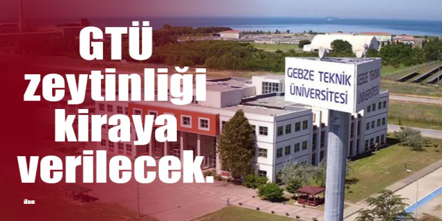 GTÜ zeytinliği kiraya verilecek.