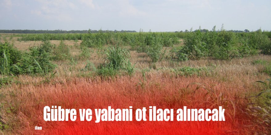 Gübre ve yabani ot ilacı alınacak