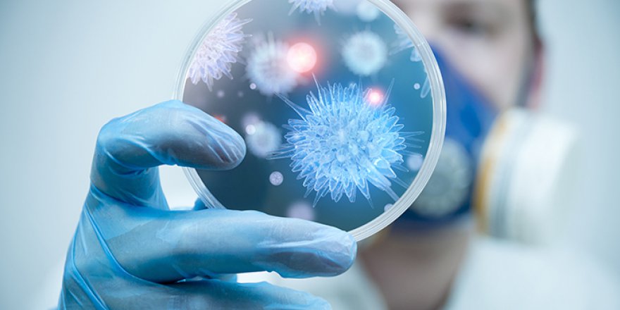 Yeni virüsün bulaşıcılığı daha yüksek