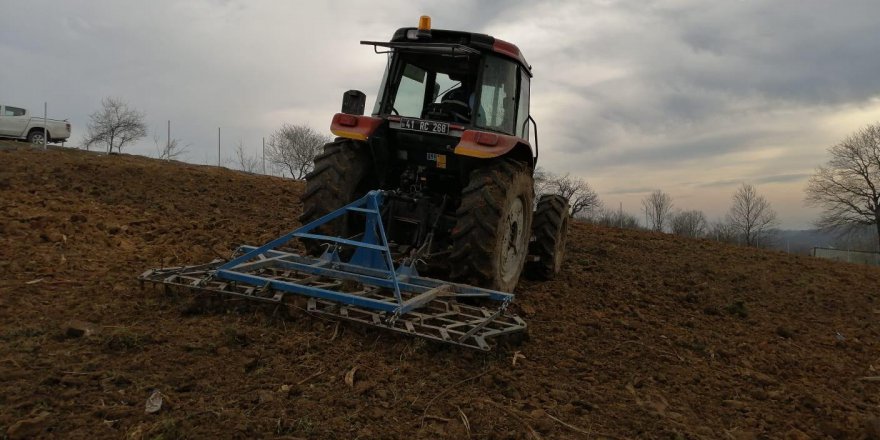 İzmit Belediyesi ile ipek böcekçiliği geri dönüyor