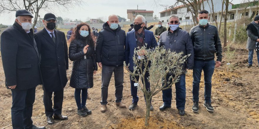 Babalı Sahili’ne hatıra ormanı