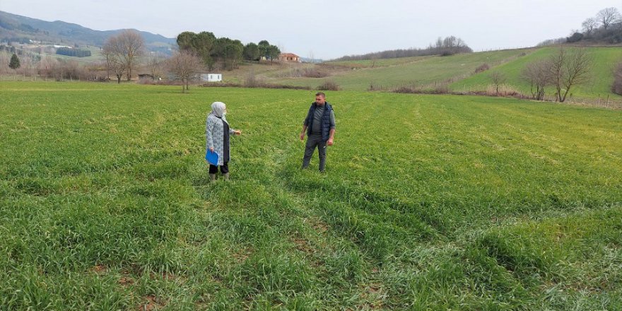Tıbbi ve Aromatik Bitki  Yetiştiriciliğine ilgi yoğun