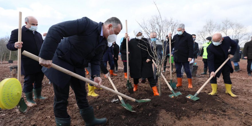 Sağlık çalışanlarına hatıra ormanı