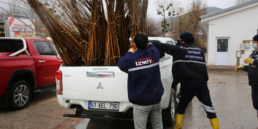 Eskişehir’den İzmit’e 500 adet dut fidanı
