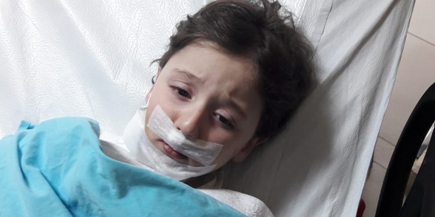 Köpeklerin saldırısına uğrayan 5 yaşındaki çocuk yaralandı