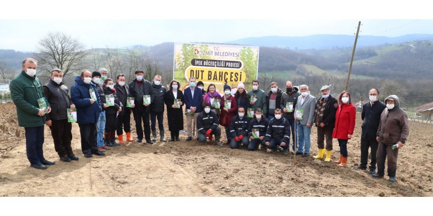 Dut fidanları toprakla buluştu