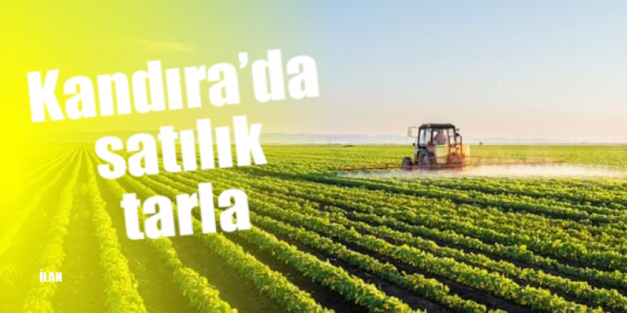 Kandıra’da satılık tarla