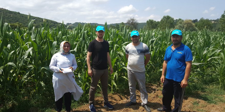 BÜYÜKŞEHİRDEN:  Çiftçilere yüzde 50 hibeli tohum desteği