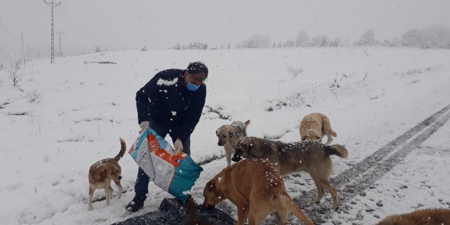 Patili dostlar unutulmuyor
