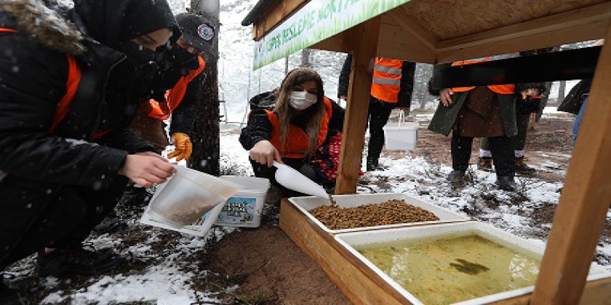Sokak hayvanlarına mama dağıtıldı