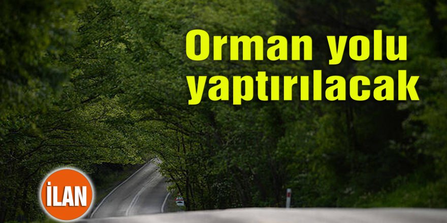 Orman yolu yaptırılacak