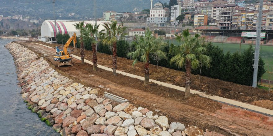 Sahile palmiyeler dikildi