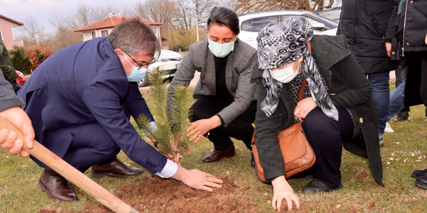 Fidanlar Tugay Adak için dikildi