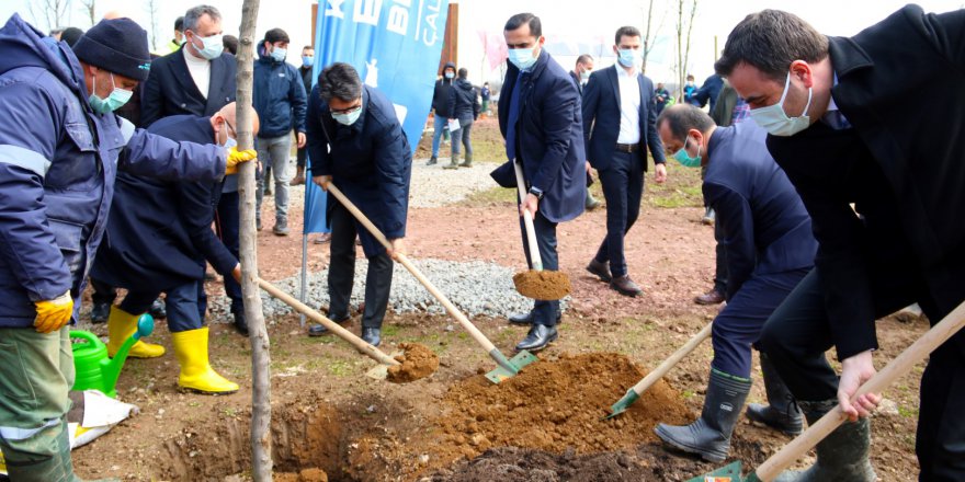 Kocaeli'de Türkiye Azerbaycan Kardeşlik Ormanı