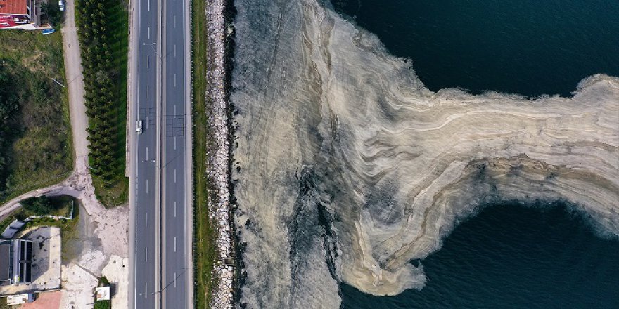 Körfez'de deniz salyası   beyaz tabaka oluşturdu