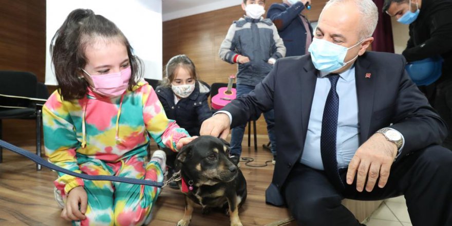 Hayvanları daima sevelim ve koruyalım