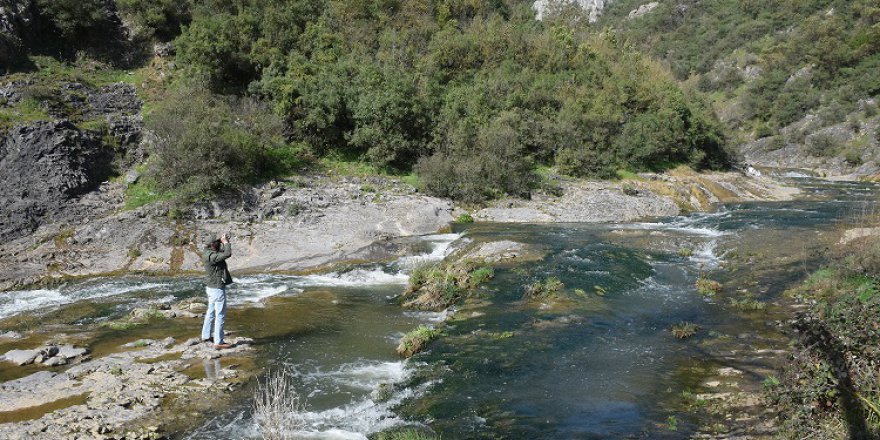 10 YILDIR YABAN HAYATININ İZİNİ SÜRÜYOR:  Ballıkayalar'ın "kuş dedektifi"