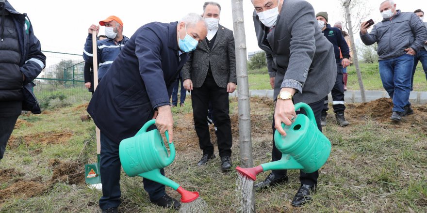 Sağlık Çalışanları İçin Ağaçlandırma Çalışması