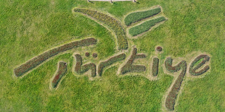 Seka Park’ta laleler çiçek açtı