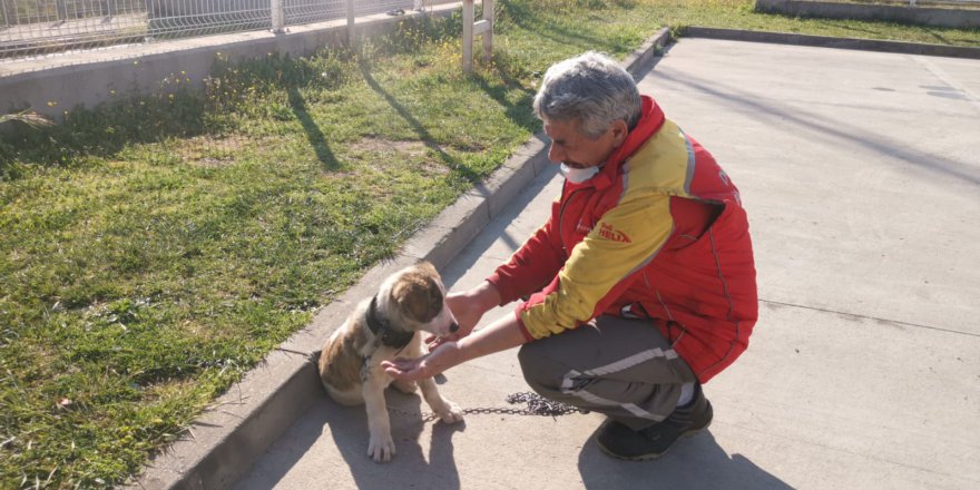 Sokakta bulduğu yavru köpeği sahiplendi