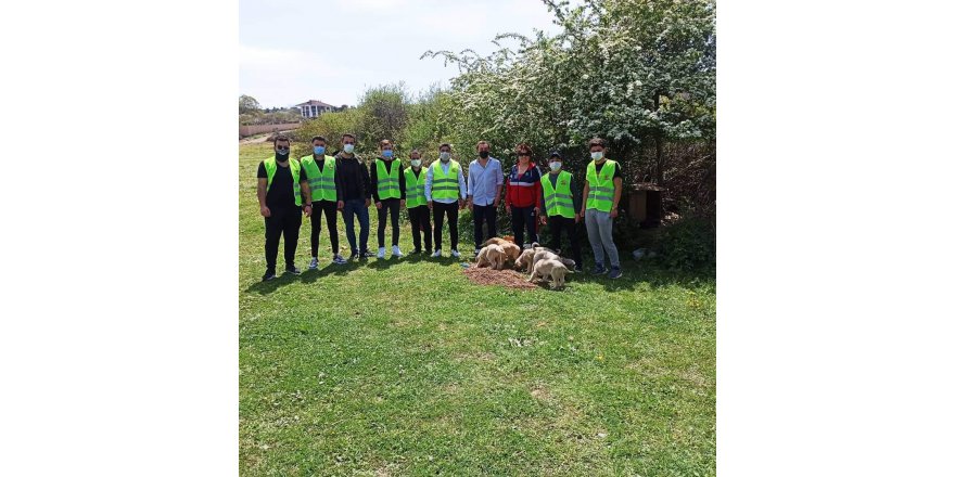 CHP gençler sokak hayvanlarını unutmadı