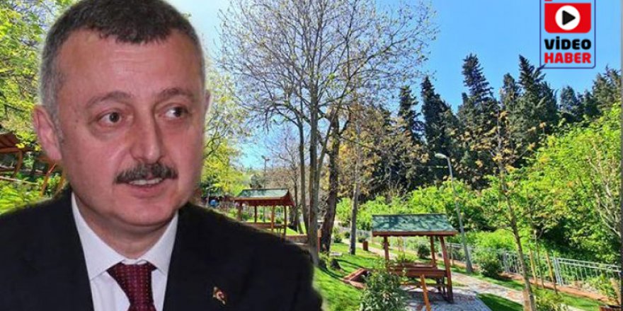 Başkan Büyükakın, ‘’Daha yeşil bir kent için durmadan çalışıyoruz’’