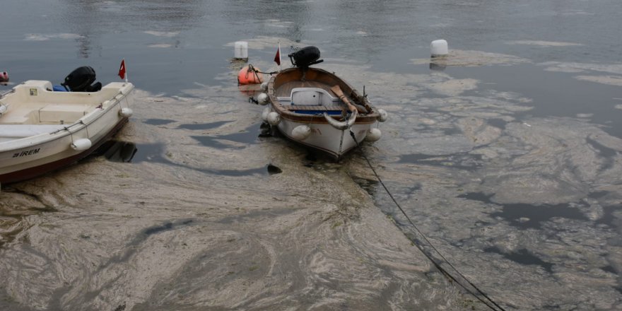 Eskihisar'da deniz  salyası temizleniyor