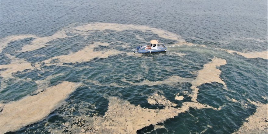 Deniz salyasına karşı mücadele sürüyor