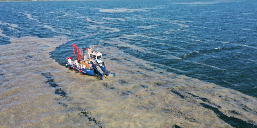 İzmit Körfezi'nden 100 ton deniz salyası temizlendi