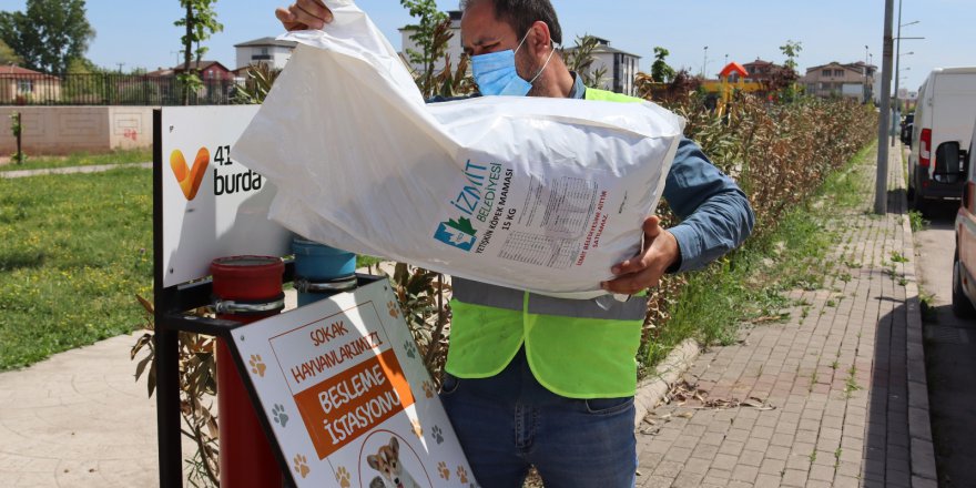 İzmit Belediyesi sokaktaki  dostlarımızı unutmuyor