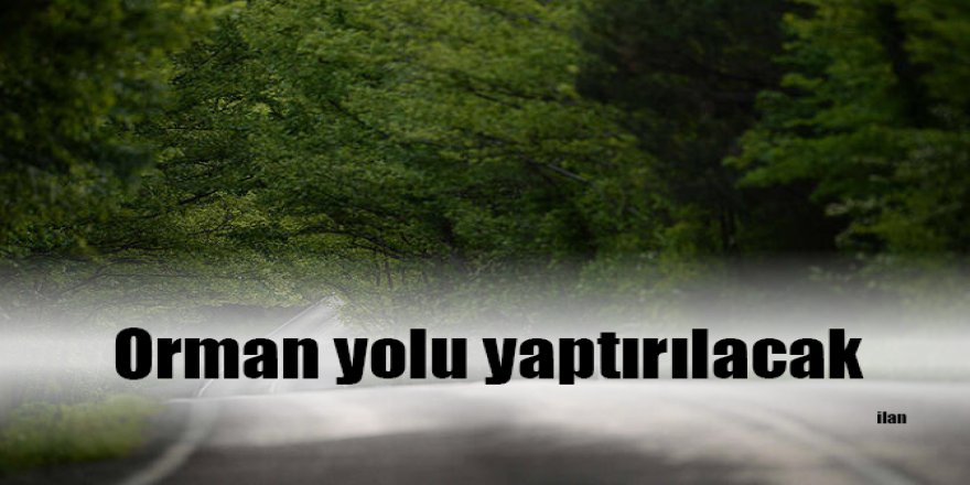 Orman yolu yaptırılacak