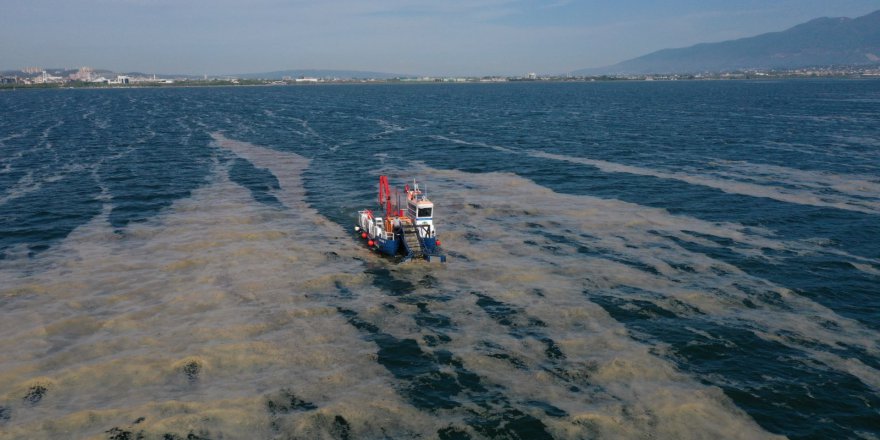 Deniz salyalarından temizlenen  Körfez eski haline dönüyor
